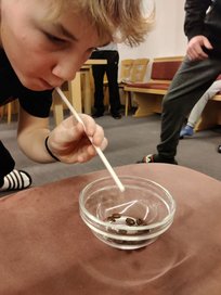 k-Schiwoche-2ab-2024__18_