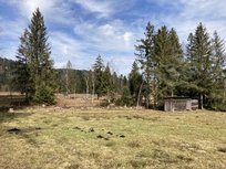 k-IMG_9081
