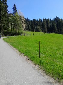 k-12f719d2-9d90-4275-b7a9-96620d315cb2