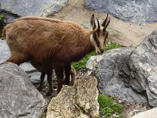 k-2023-05-15-Innsbruck__5_