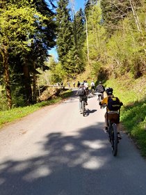 k-d67af7ca-eb68-4cb3-b649-31f2b9b94617