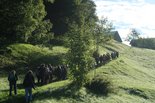 k-IMG_4739