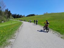 k-9b5e613b-75de-4bac-90c9-a323b3f1a794