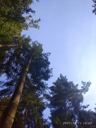 k-MicrosoftTeams-image__11_