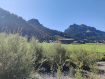 k-IMG_20250918_122436