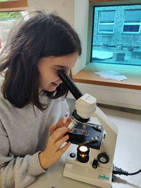 k-IMG_20240503_120435