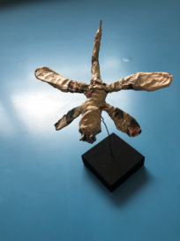 k-Screenshot_2022-06-12_145116