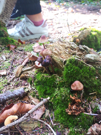 k-MicrosoftTeams-image__14_