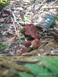 k-MicrosoftTeams-image__13_