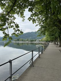 k-IMG_4347
