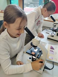 k-IMG_20240503_114228