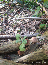 k-MicrosoftTeams-image__12_