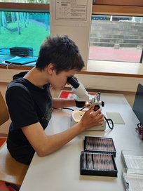 k-IMG_20240503_102133