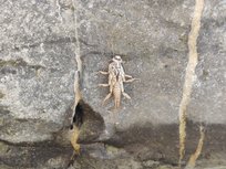 k-IMG_20230602_101002