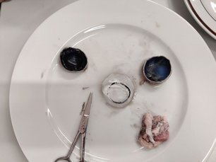 k-IMG_20250506_153054