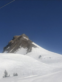 Screenshot_2022-04-04_150549